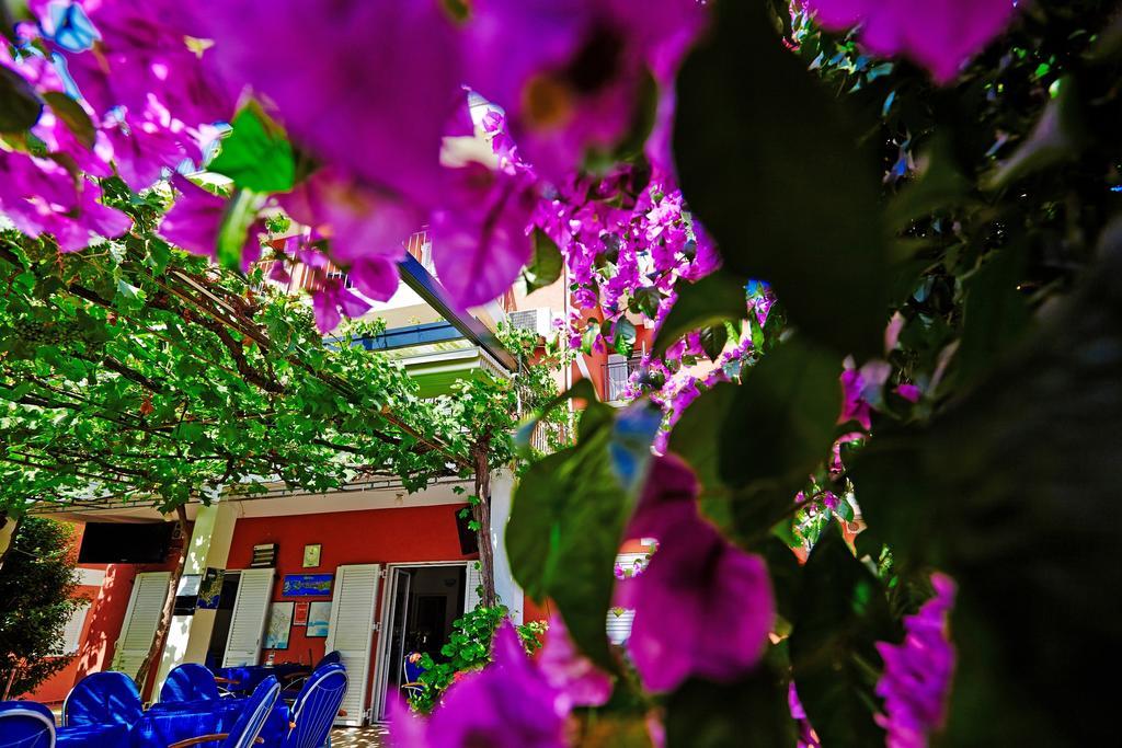Villa Bojana Budva Buitenkant foto