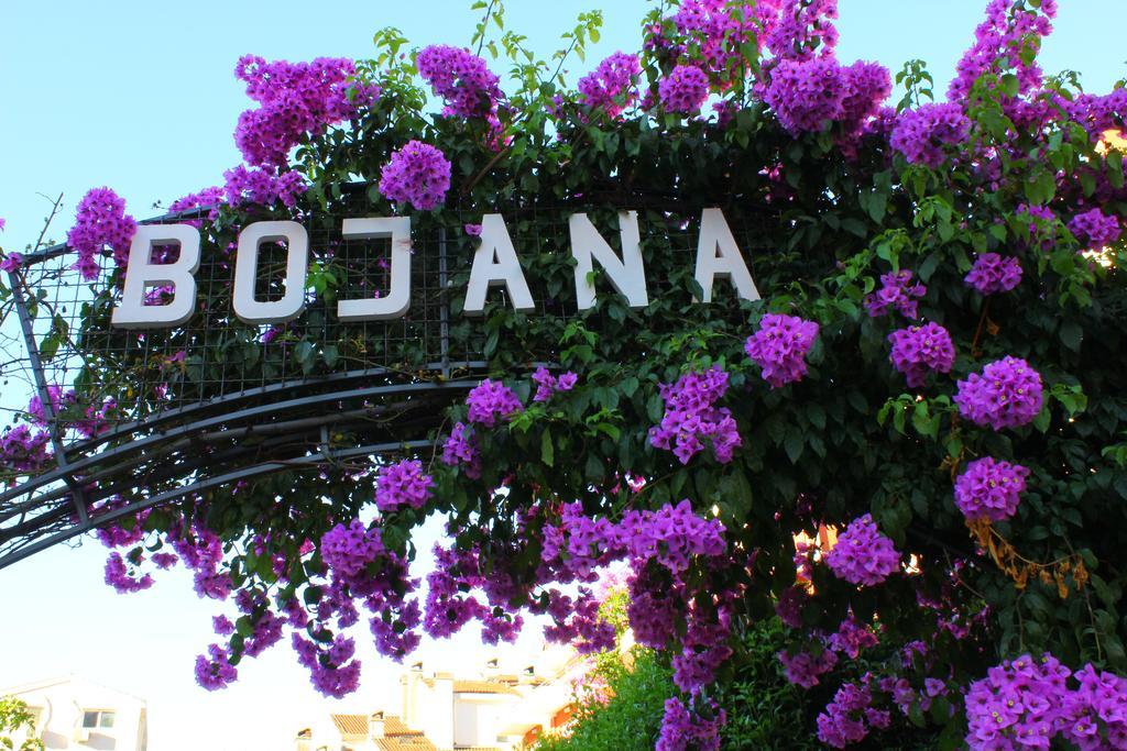 Villa Bojana Budva Buitenkant foto